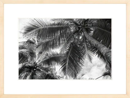 Fine Art Framed Prints: With or Without Mat