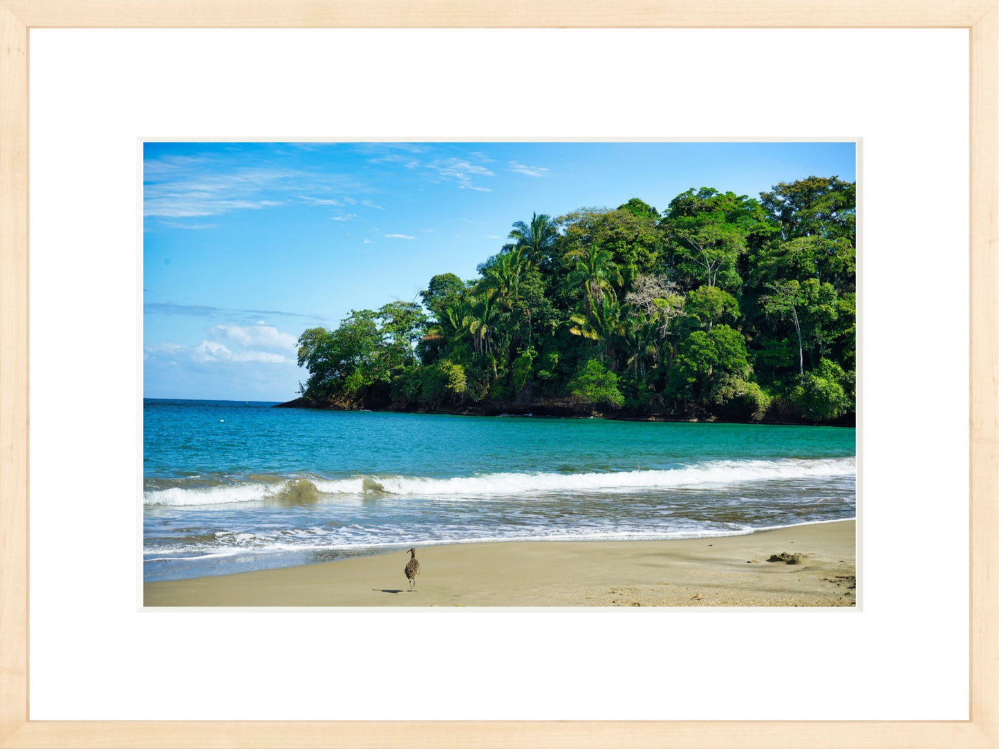 Fine Art Framed Prints: With or Without Mat
