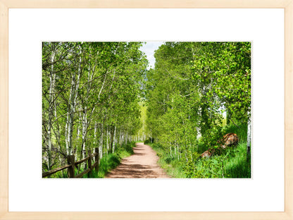 Fine Art Framed Prints: With or Without Mat