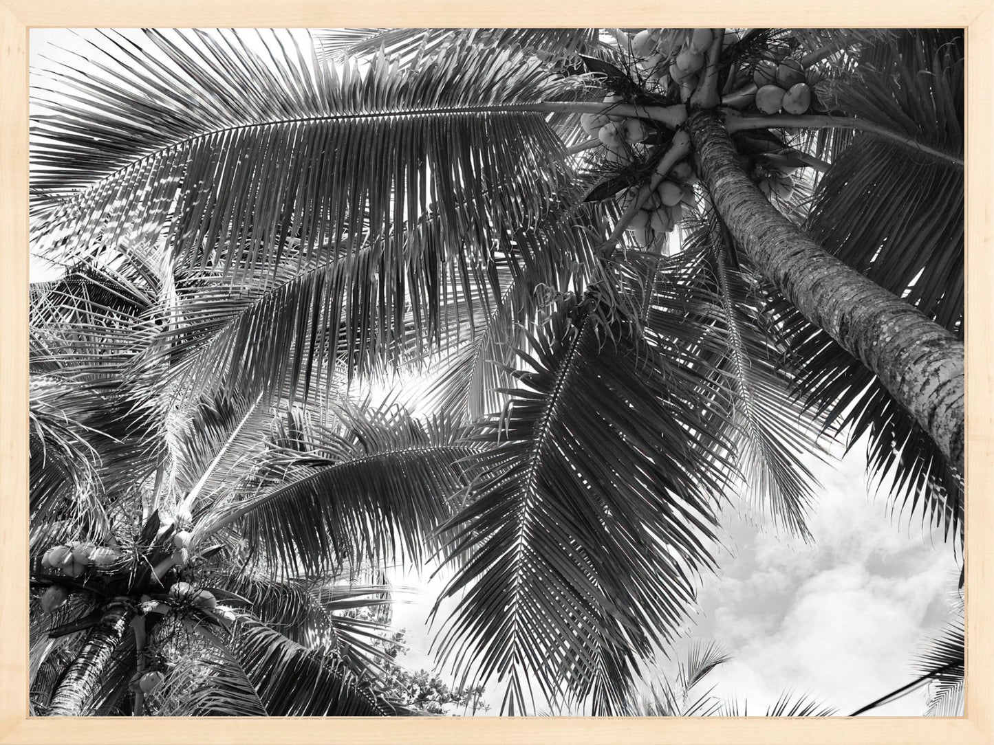 Fine Art Framed Prints: With or Without Mat