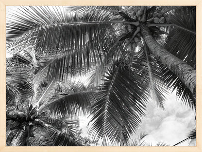 Fine Art Framed Prints: With or Without Mat