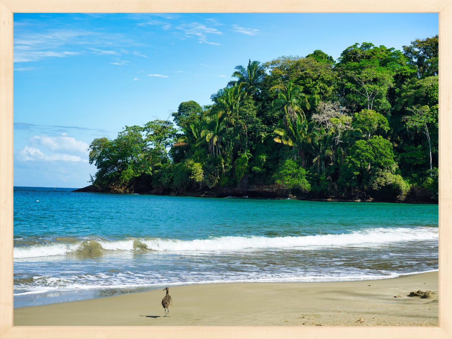 Fine Art Framed Prints: With or Without Mat