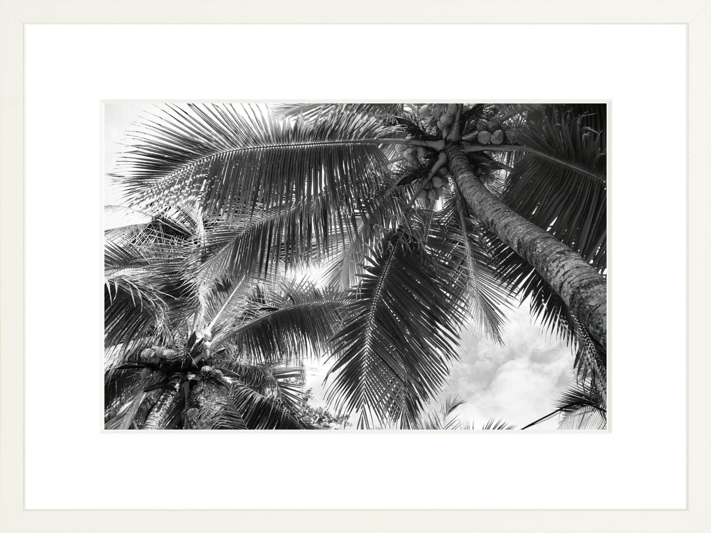 Fine Art Framed Prints: With or Without Mat