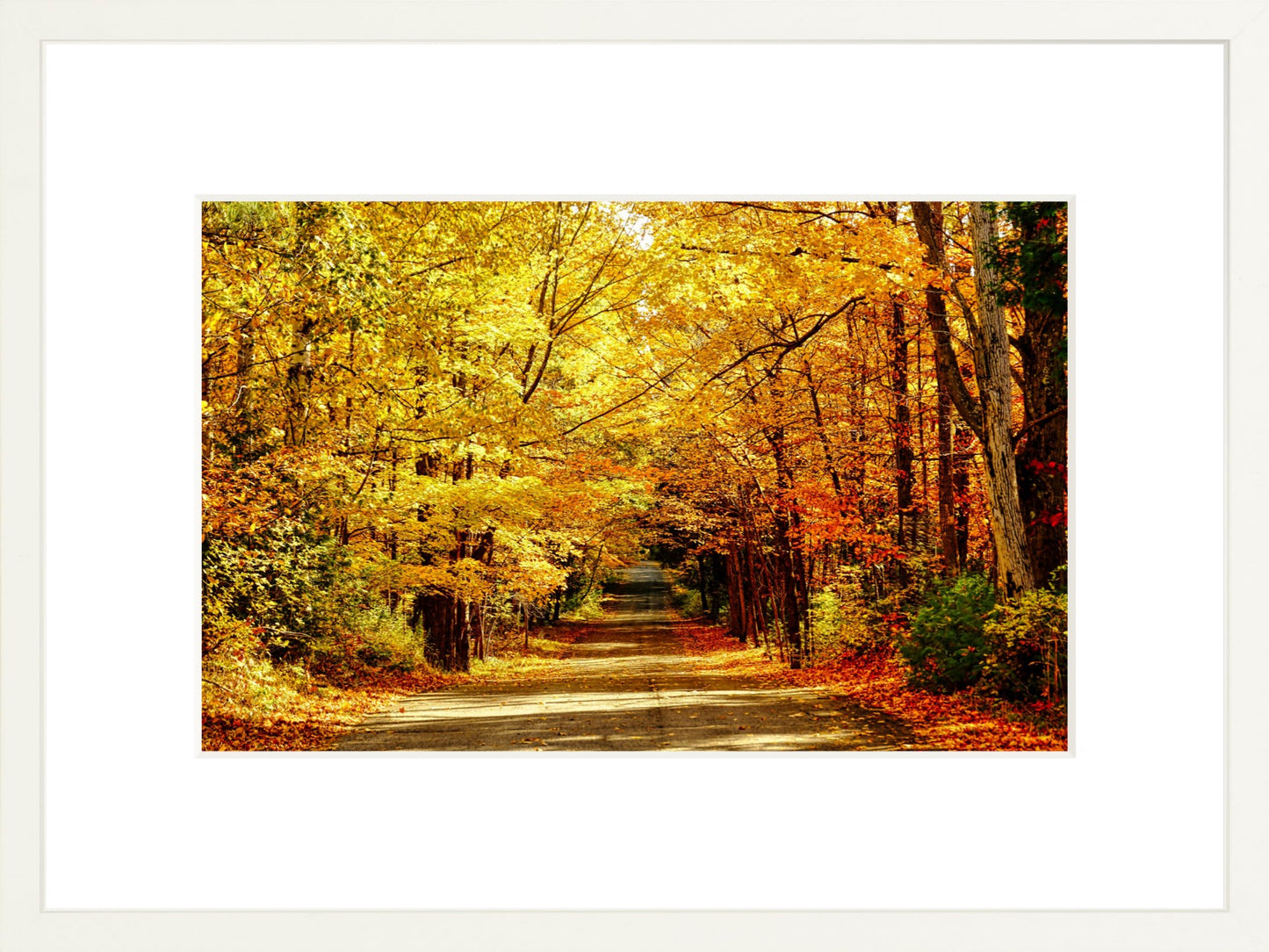 Fine Art Framed Prints: With or Without Mat