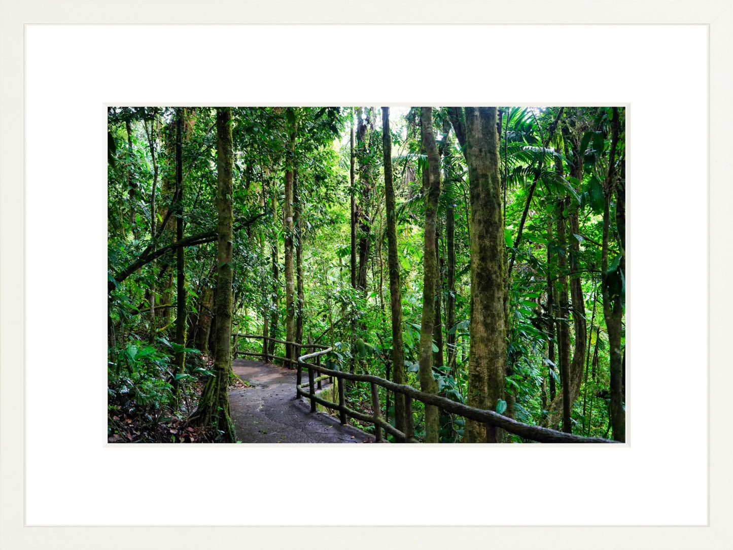Fine Art Framed Prints: With or Without Mat