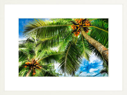 Framed Premium Prints: With or Without Mat