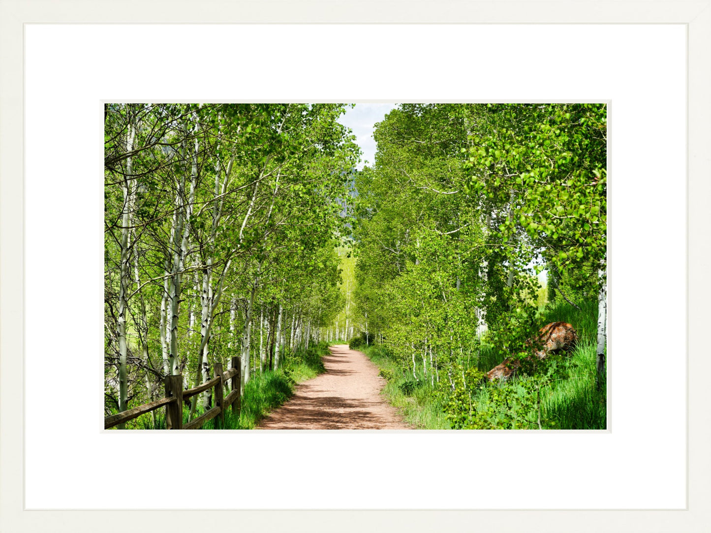 Fine Art Framed Prints: With or Without Mat