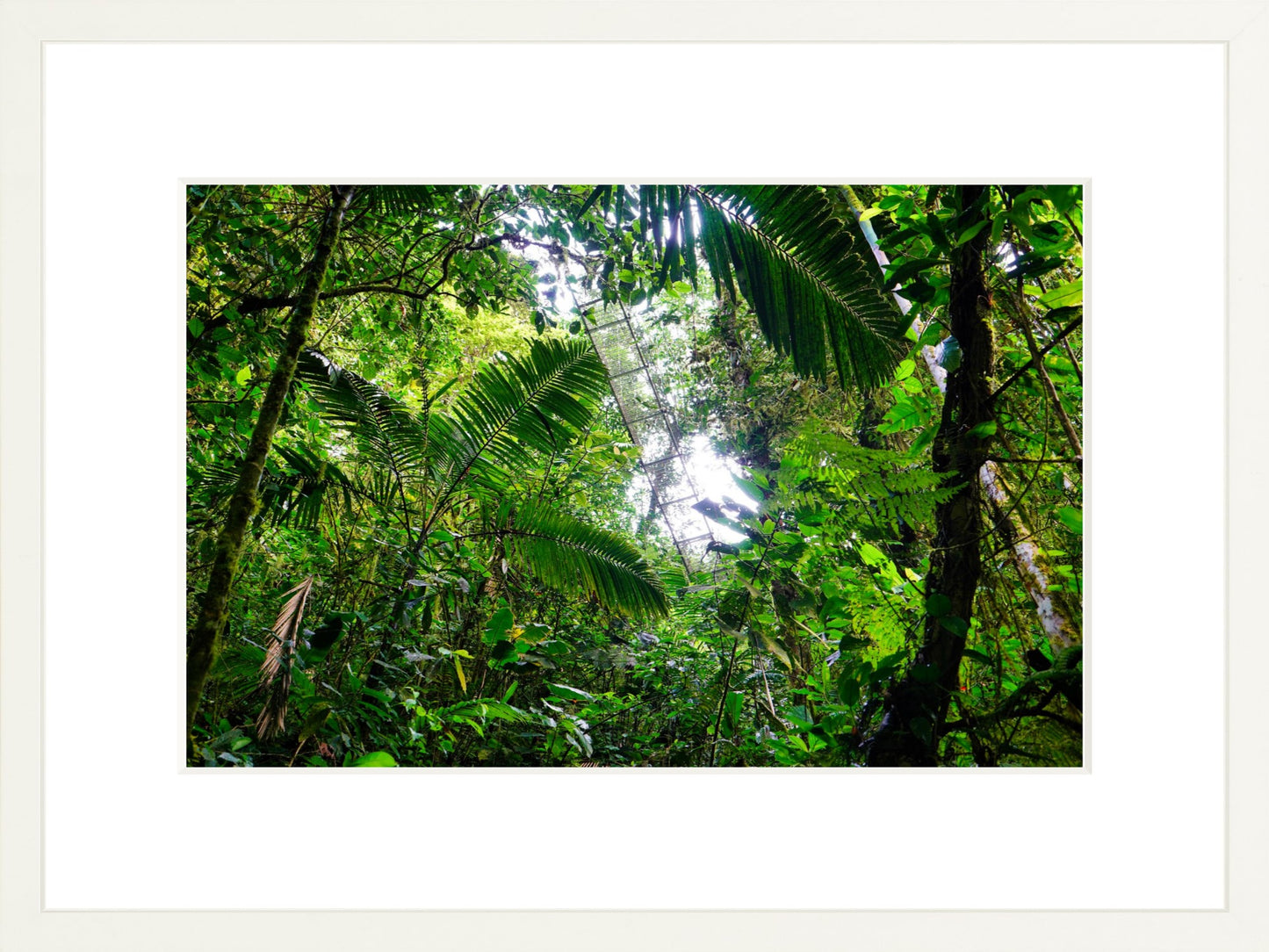 Fine Art Framed Prints: With or Without Mat