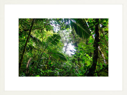 Fine Art Framed Prints: With or Without Mat