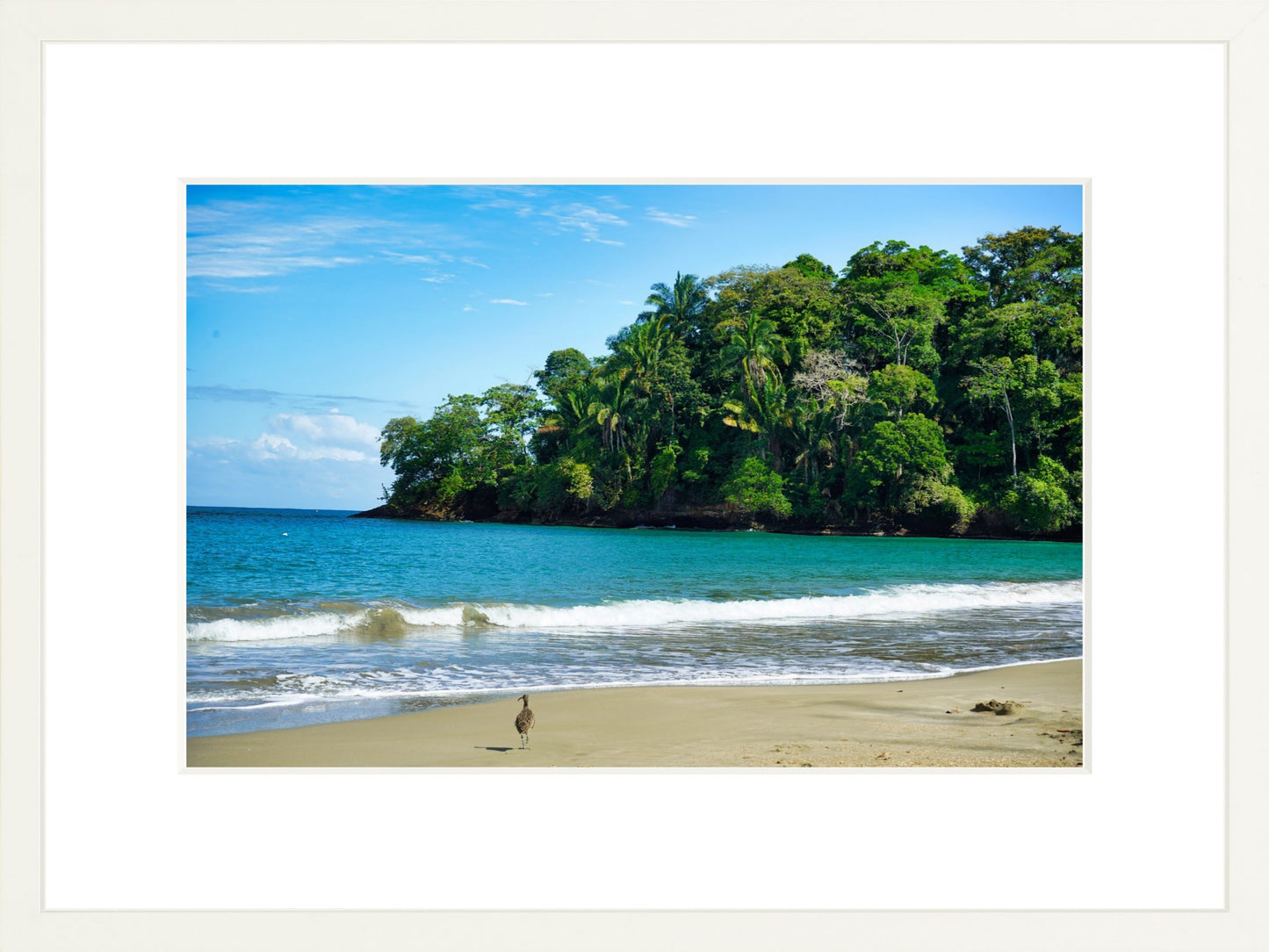 Fine Art Framed Prints: With or Without Mat