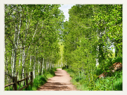 Fine Art Framed Prints: With or Without Mat