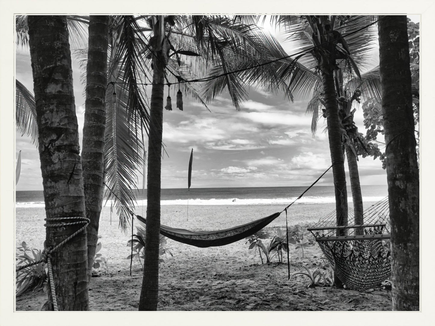 Fine Art Framed Prints: With or Without Mat