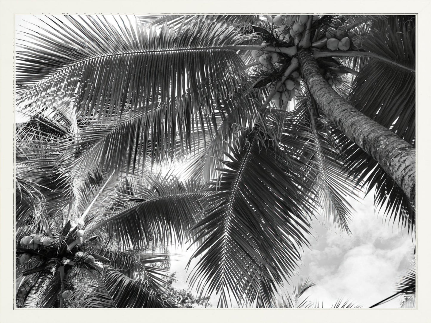 Fine Art Framed Prints: With or Without Mat