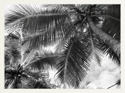 Fine Art Framed Prints: With or Without Mat
