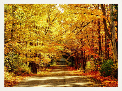 Fine Art Framed Prints: With or Without Mat