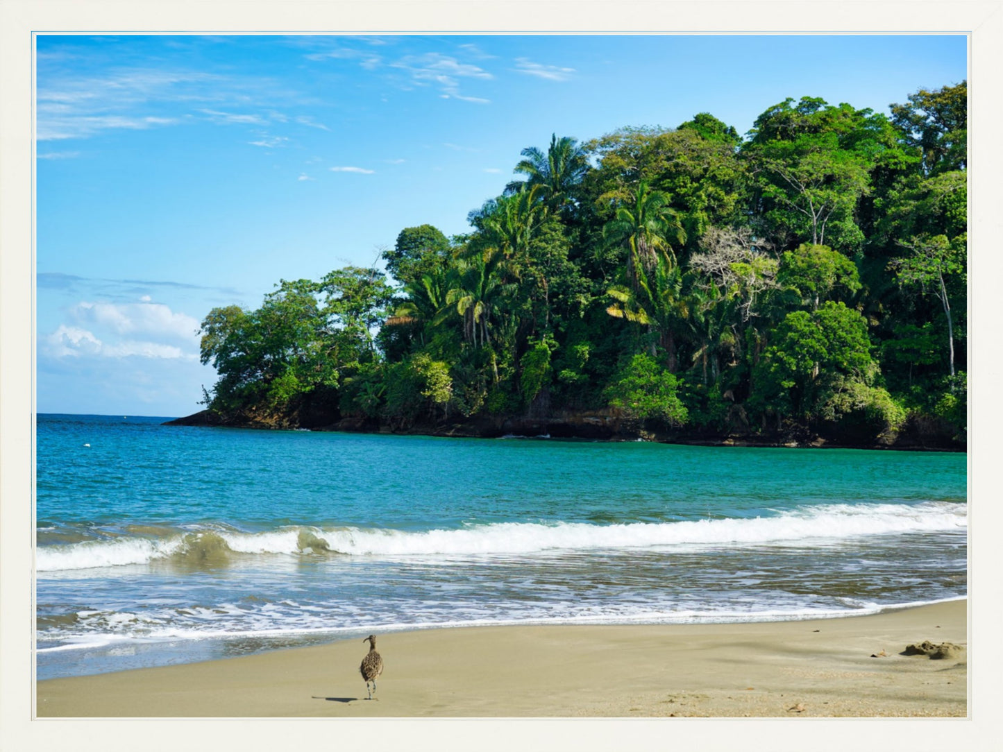 Fine Art Framed Prints: With or Without Mat