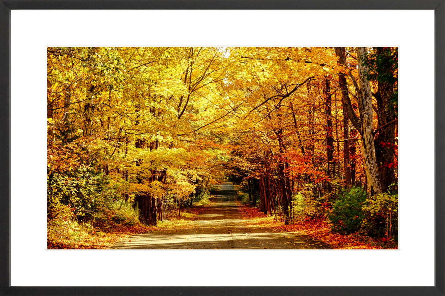Fine Art Framed Prints: With or Without Mat