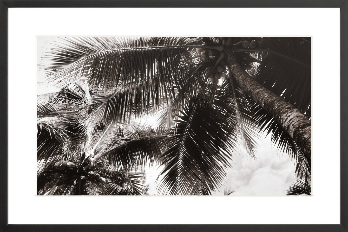 Fine Art Framed Prints: With or Without Mat