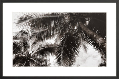 Fine Art Framed Prints: With or Without Mat