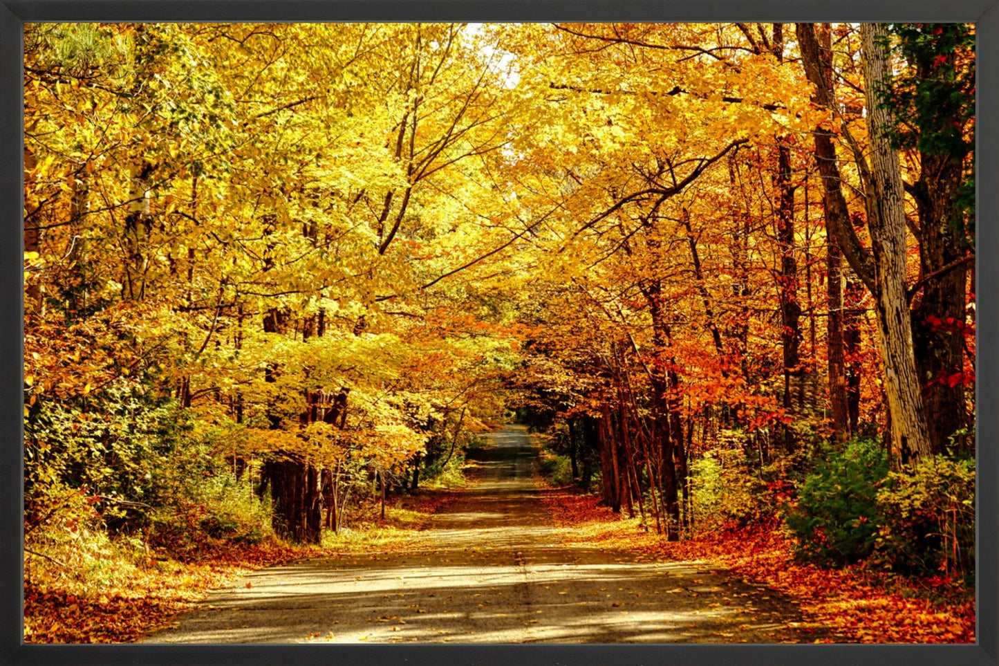 Fine Art Framed Prints: With or Without Mat
