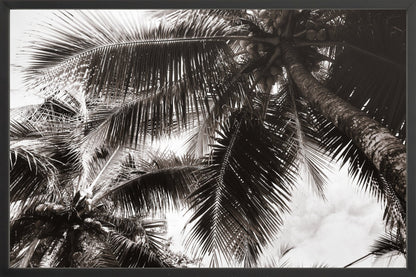 Fine Art Framed Prints: With or Without Mat
