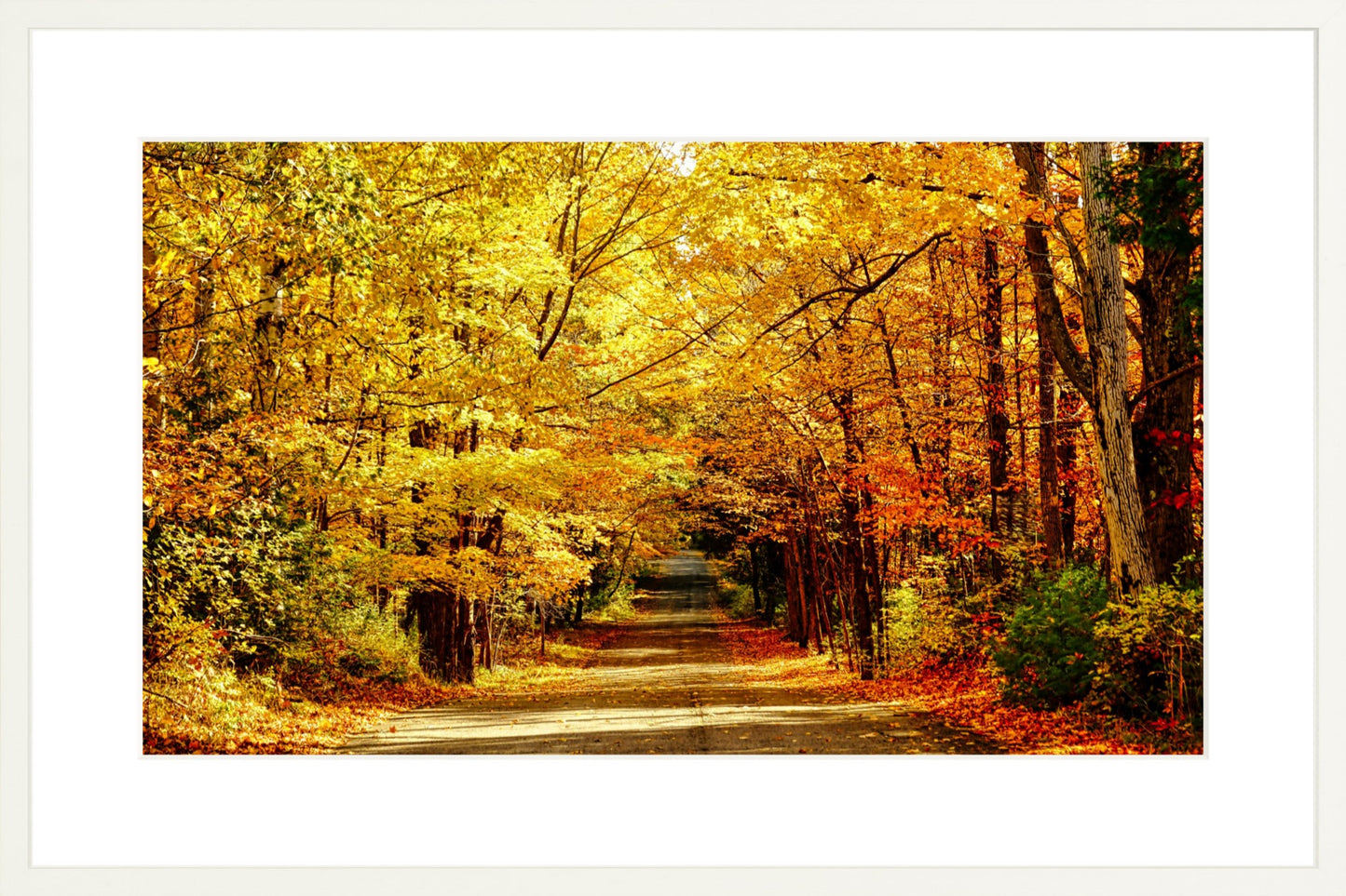 Fine Art Framed Prints: With or Without Mat