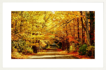 Fine Art Framed Prints: With or Without Mat