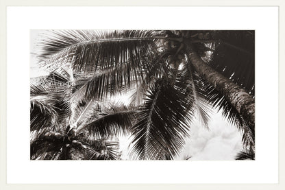 Fine Art Framed Prints: With or Without Mat