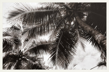 Fine Art Framed Prints: With or Without Mat