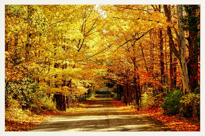Fine Art Framed Prints: With or Without Mat