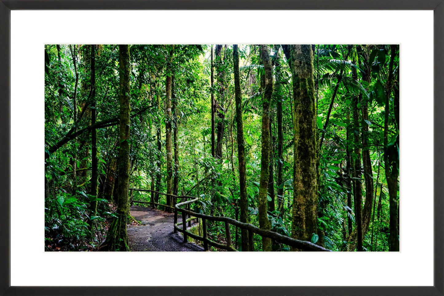Fine Art Framed Prints: With or Without Mat