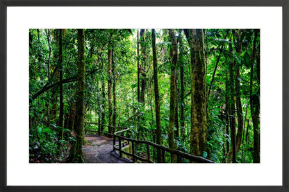 Fine Art Framed Prints: With or Without Mat