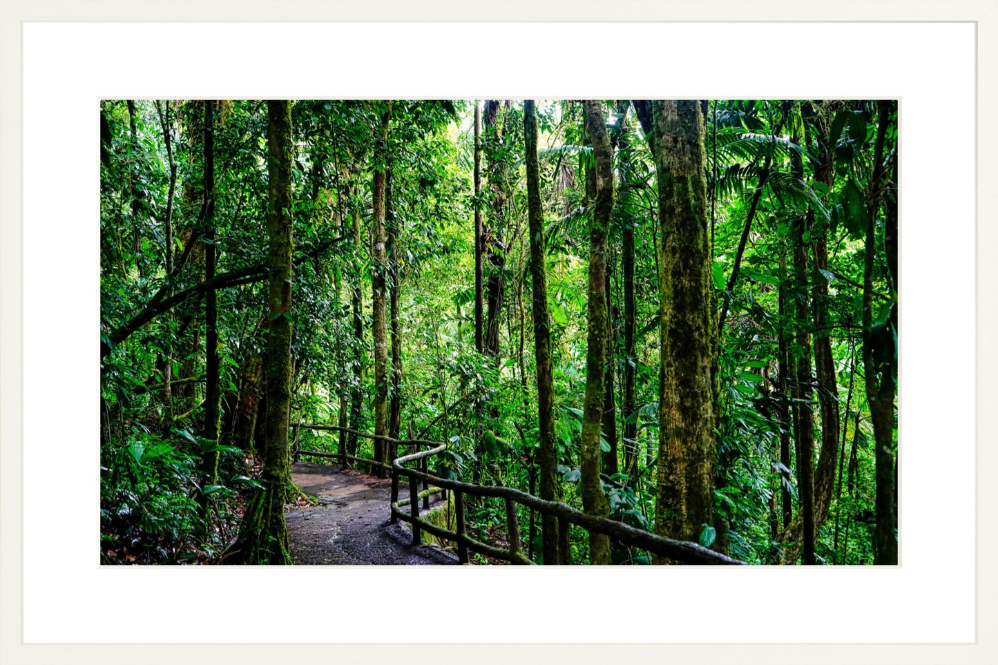 Fine Art Framed Prints: With or Without Mat
