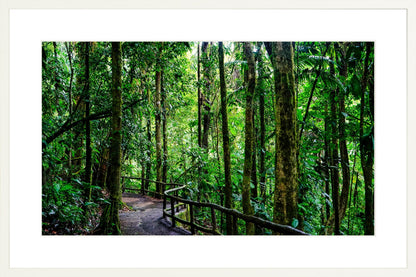 Fine Art Framed Prints: With or Without Mat