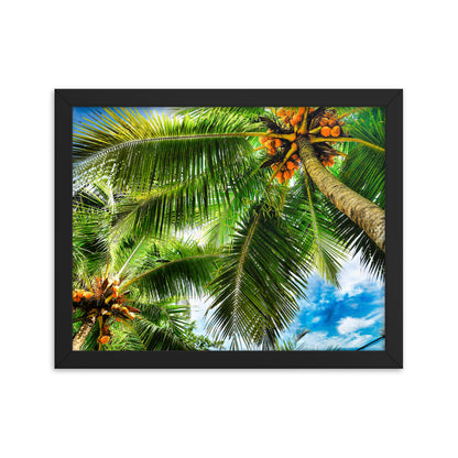 Framed Photo Paper Poster