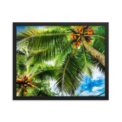 Framed Photo Paper Poster