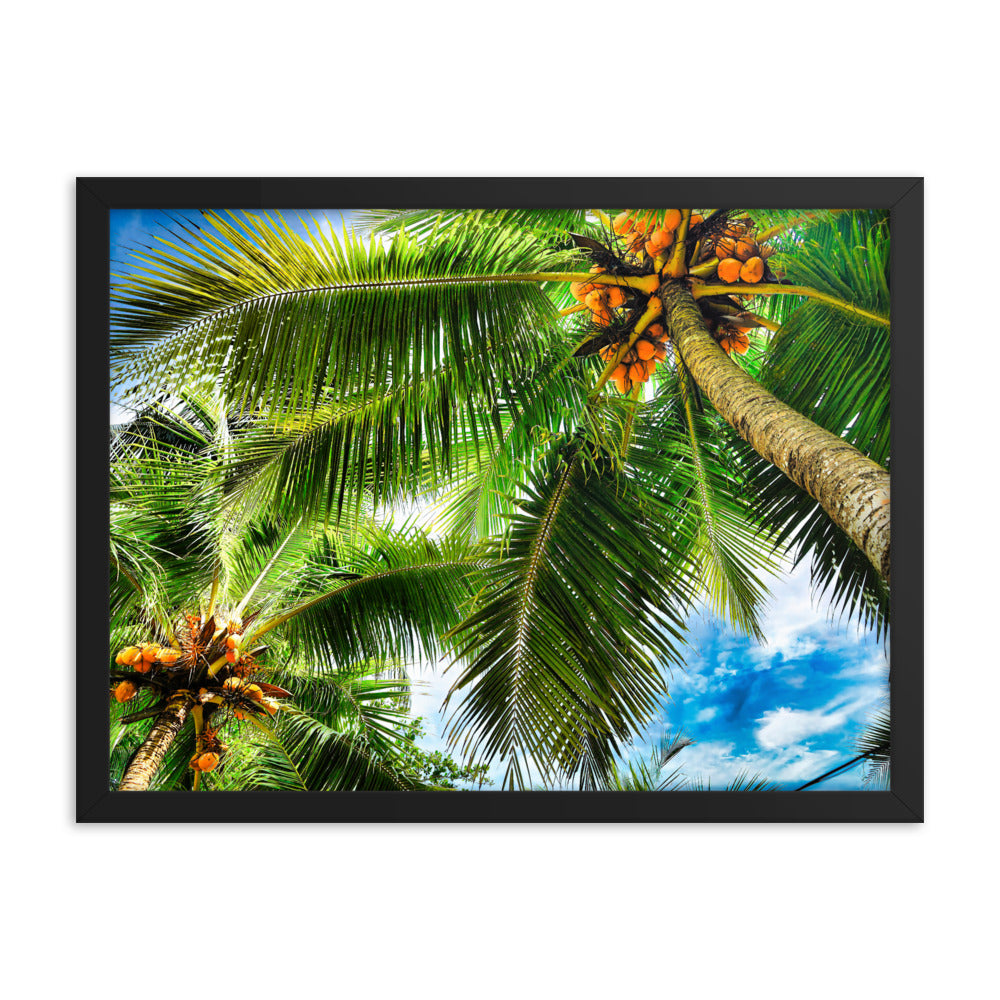 Framed Photo Paper Poster