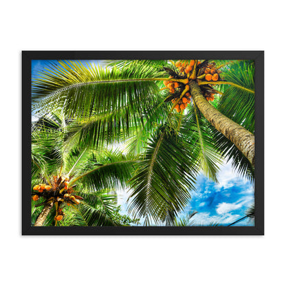 Framed Photo Paper Poster