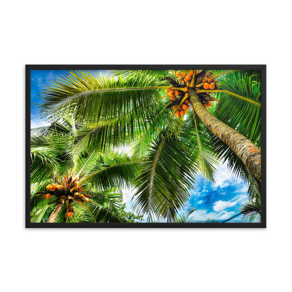 Framed Photo Paper Poster