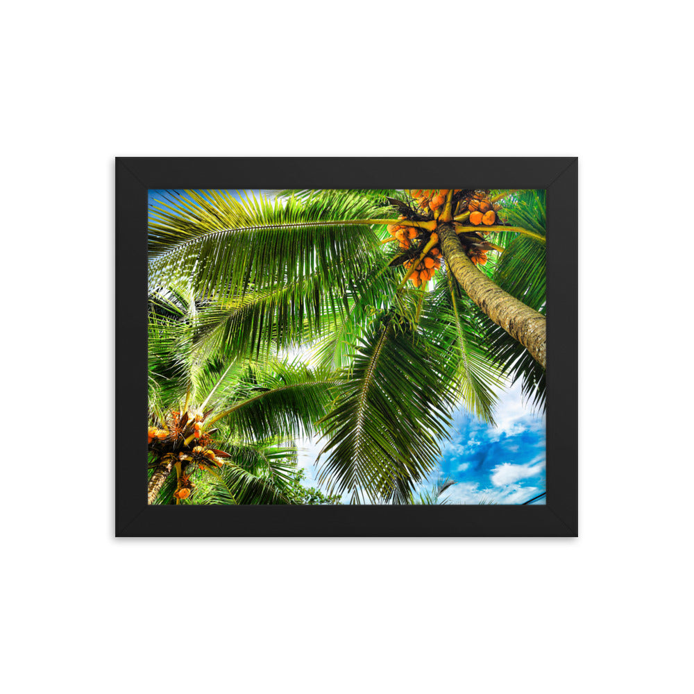 Framed Photo Paper Poster