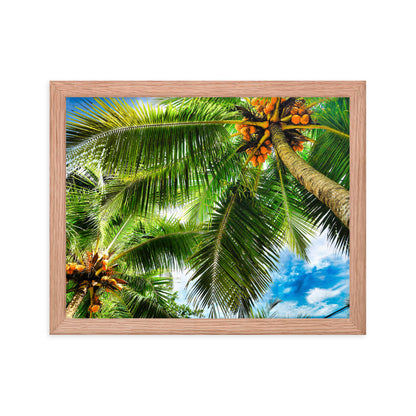 Framed Photo Paper Poster