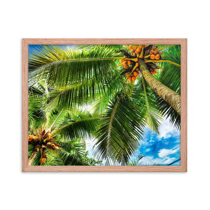 Framed Photo Paper Poster