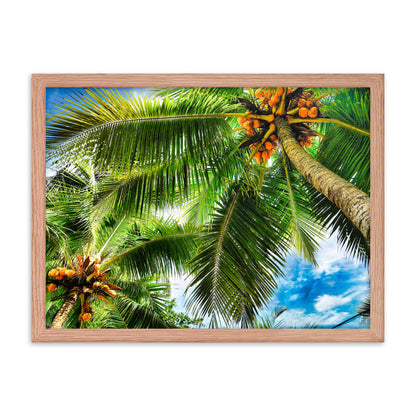 Framed Photo Paper Poster