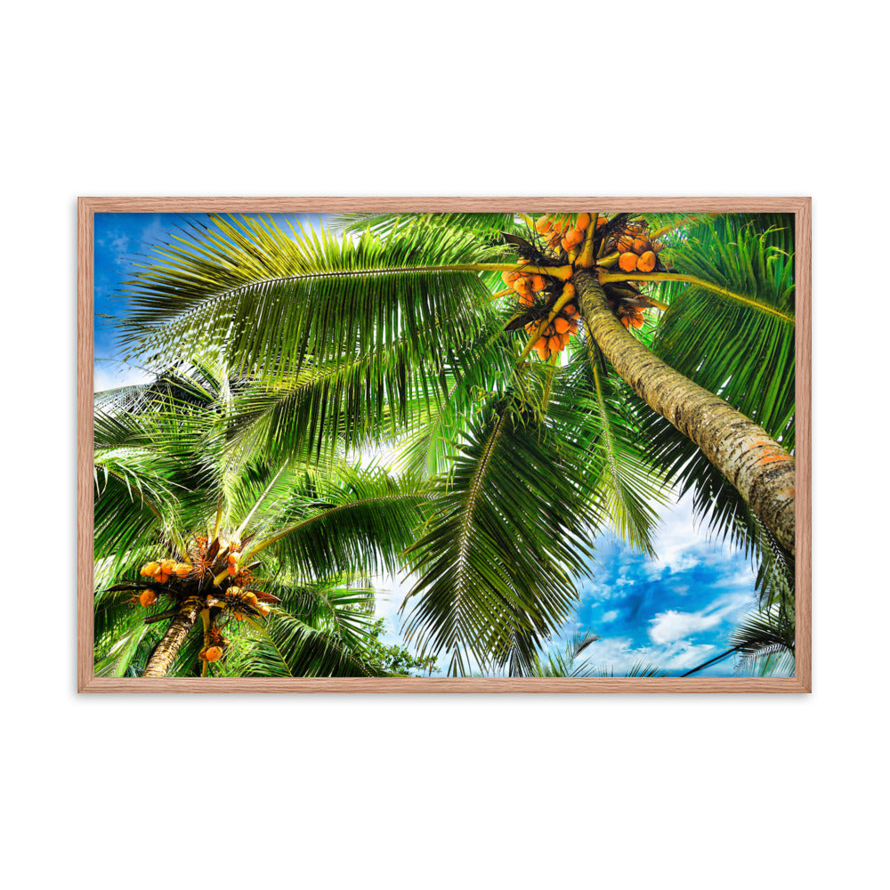 Framed Photo Paper Poster