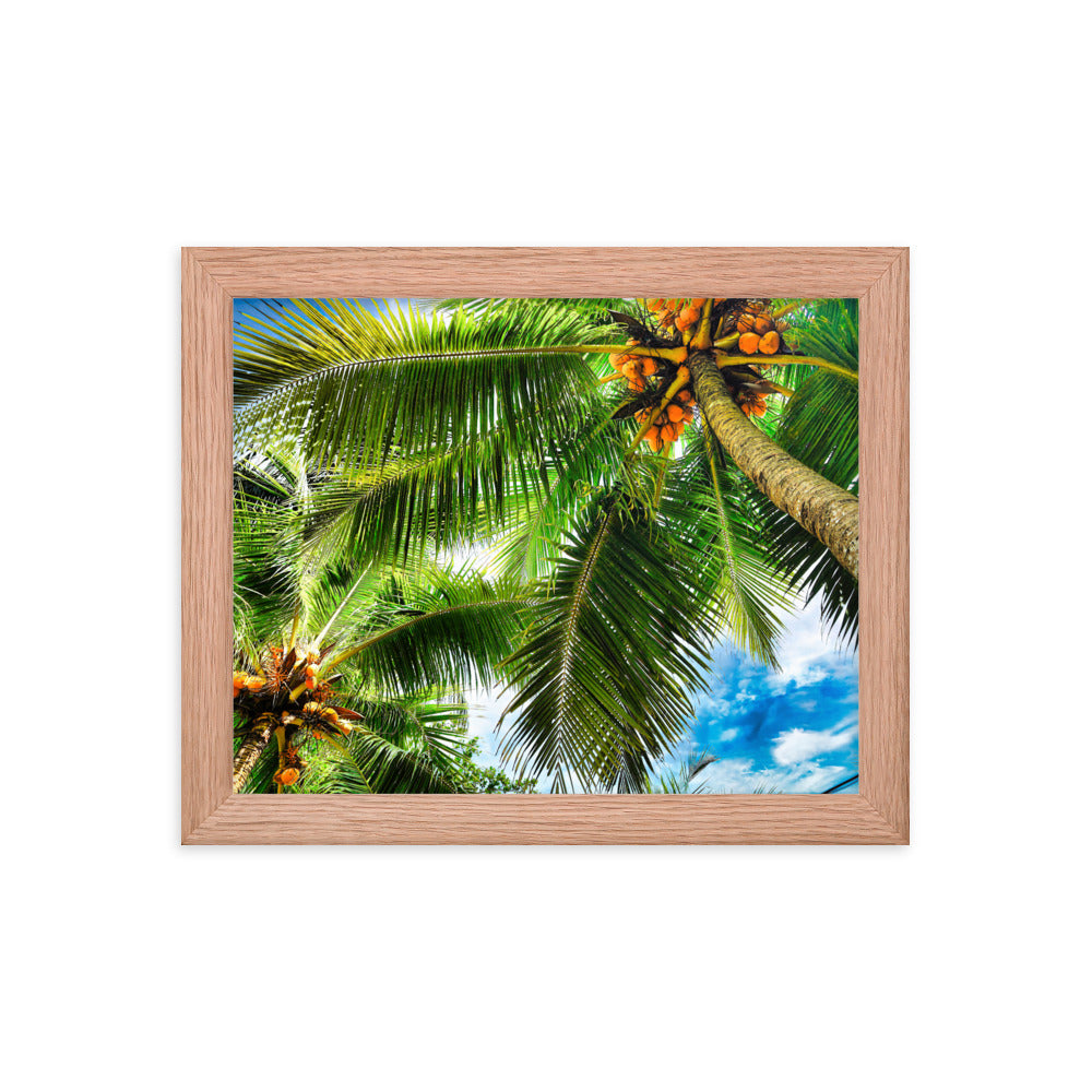 Framed Photo Paper Poster