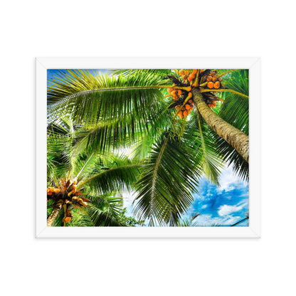 Framed Photo Paper Poster