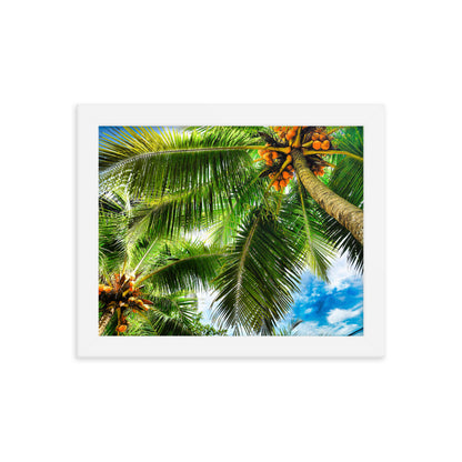 Framed Photo Paper Poster